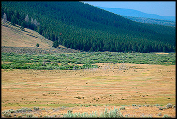 Nez Perce Battlefields