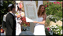 Video Opening-Anna & Etai