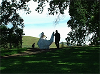 wedding reception photo shoot video